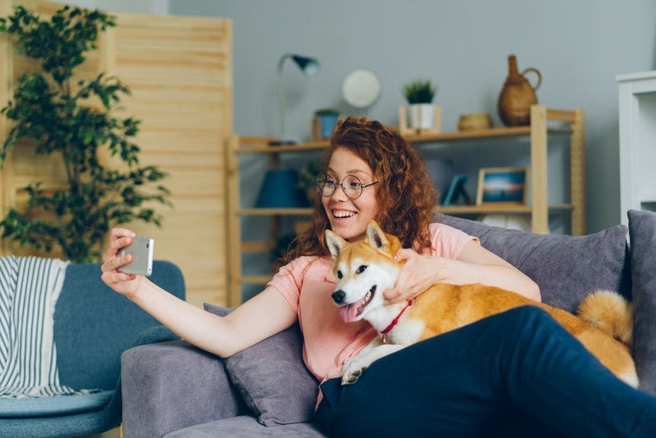 Pet Tech That Earns Its Batteries (and the Gadgets That Don't)