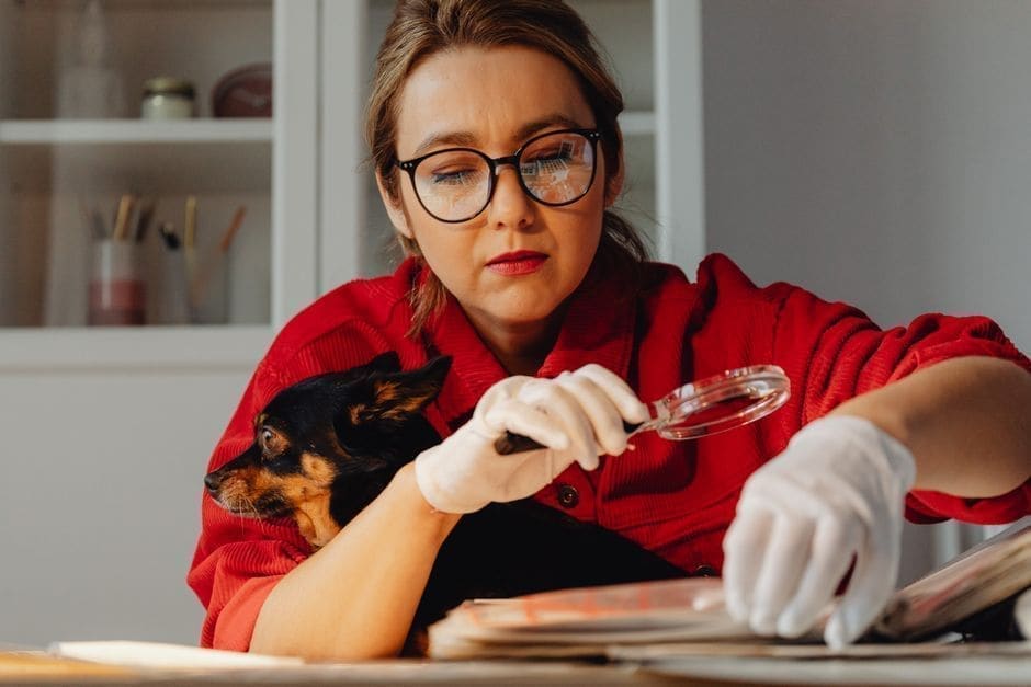 Pet Insurance: How to Read a Policy